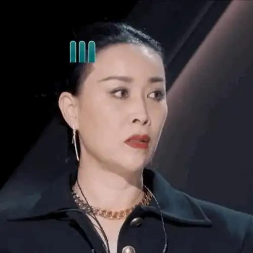 那英,在2024年5月20日的夜晚,在参加《萌探探探案》的录音过程中不幸