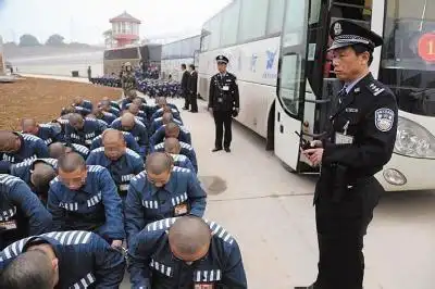 为什么犯人一进监狱就要被剃成光头?