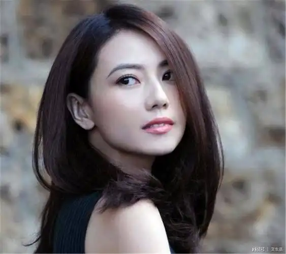 娱乐圈公认最美六张脸,娱乐圈公认最美女星-图片大观-奇异网