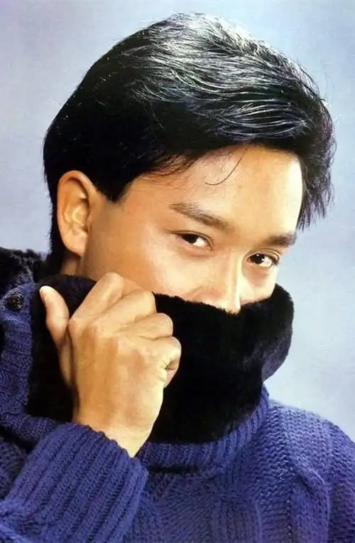 张国荣73哥哥73leslie