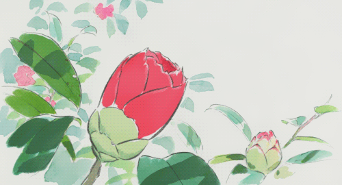 花朵gif绽放gif漂亮gif