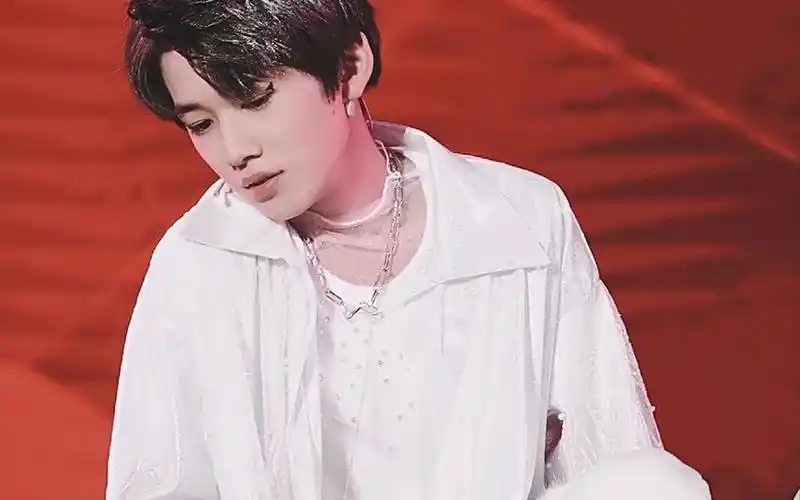 190216台风少年团演唱会乖猫宋亚轩focus