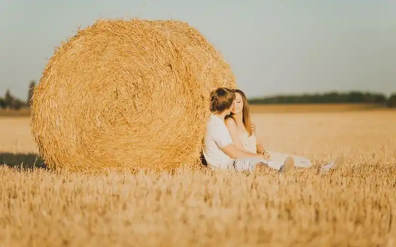 温馨甜蜜情侣,高清壁纸图片,矢量图-回车桌面