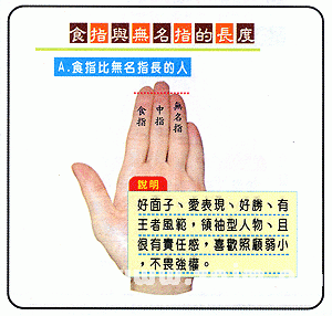 食指与无名指的长度看你的性格与命运_奇库网