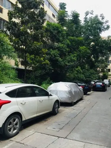 新世纪花园,健康路99号-新乡新世纪花园二手房,租房,房价-新乡安居客