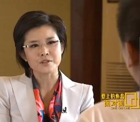 有谁知道cctv新闻频道,面对面栏目下面图片中的女主持的全名?
