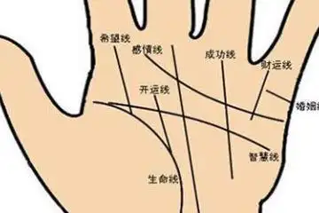 相术_痣相_手相_女人面部痣相图解大全