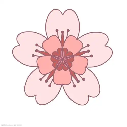 日本樱花 漂亮的樱花 粉色的樱花 创意樱花 立体樱花 卡通樱花 樱花