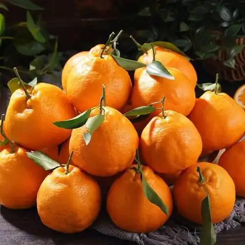 正宗四川春见耙耙柑橘子水果当季丑八怪粑粑柑桔子丑柑桔一件代发-阿