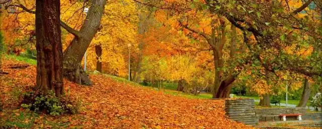 金秋送爽的唯美句子 秋天风景宜人的描写摘录