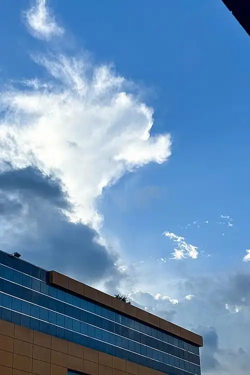 深圳image | 在深圳做云朵收藏家