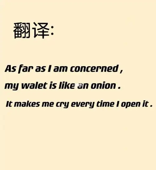 英语翻译|像极了双十一我的样子98