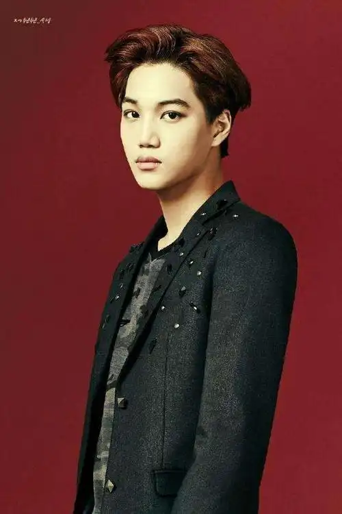 exo成员单人照一系列,exo同一系列单人照-图片大观-奇异网