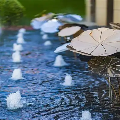 贵州遵义涌泉施工/涌泉设备安装/涌泉工程公司