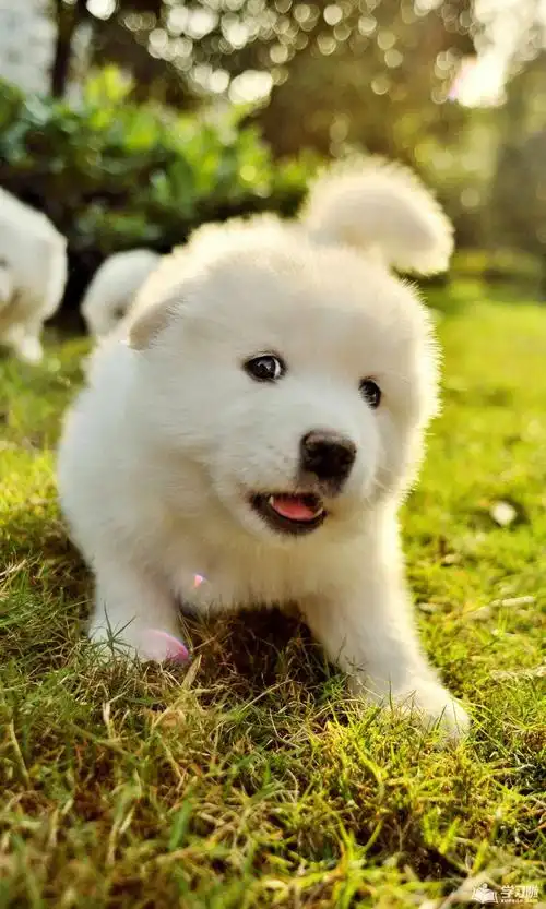 1536_2560竖版 竖屏