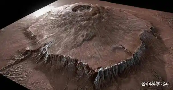 2008年nasa拍摄的火星照片其地表竟长出了树难道火星存在生命