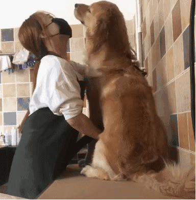 被狗嫌弃是一种什么体验?