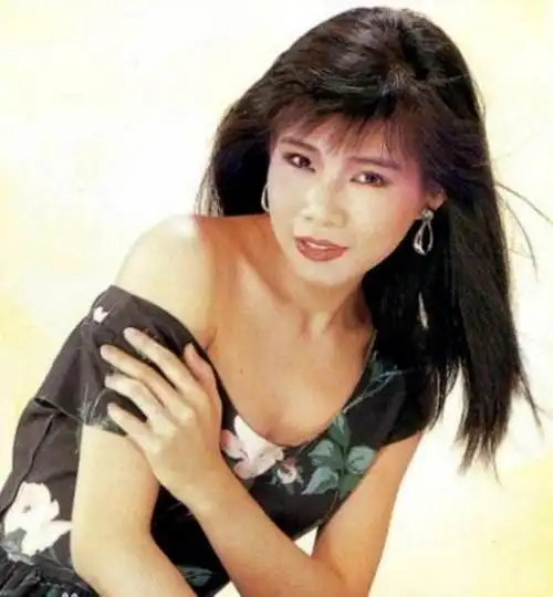 应老公要求隐退_韩宝仪