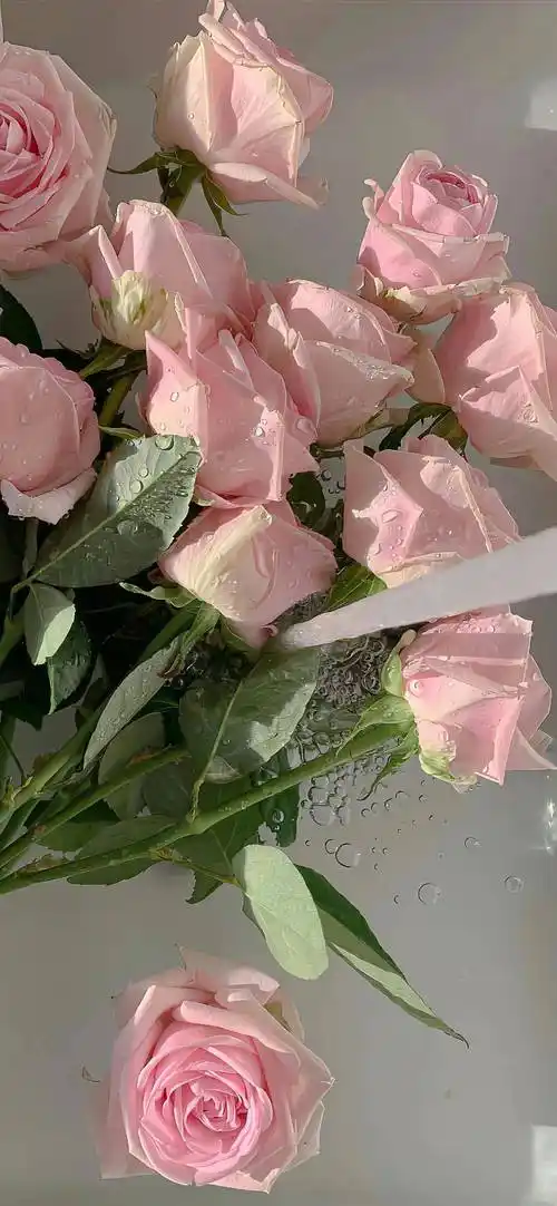 私藏的ins壁纸4k全面屏超清壁纸