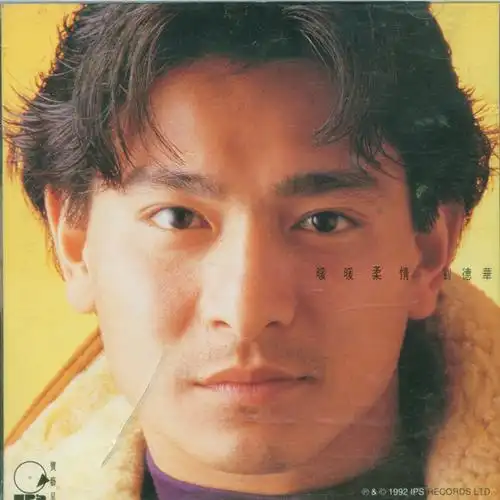 刘德华暖暖柔情粤语精选wavc202