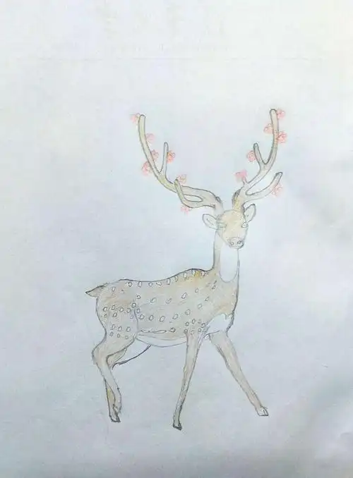6.作品《梅花鹿》分享:绘画过程和色彩.