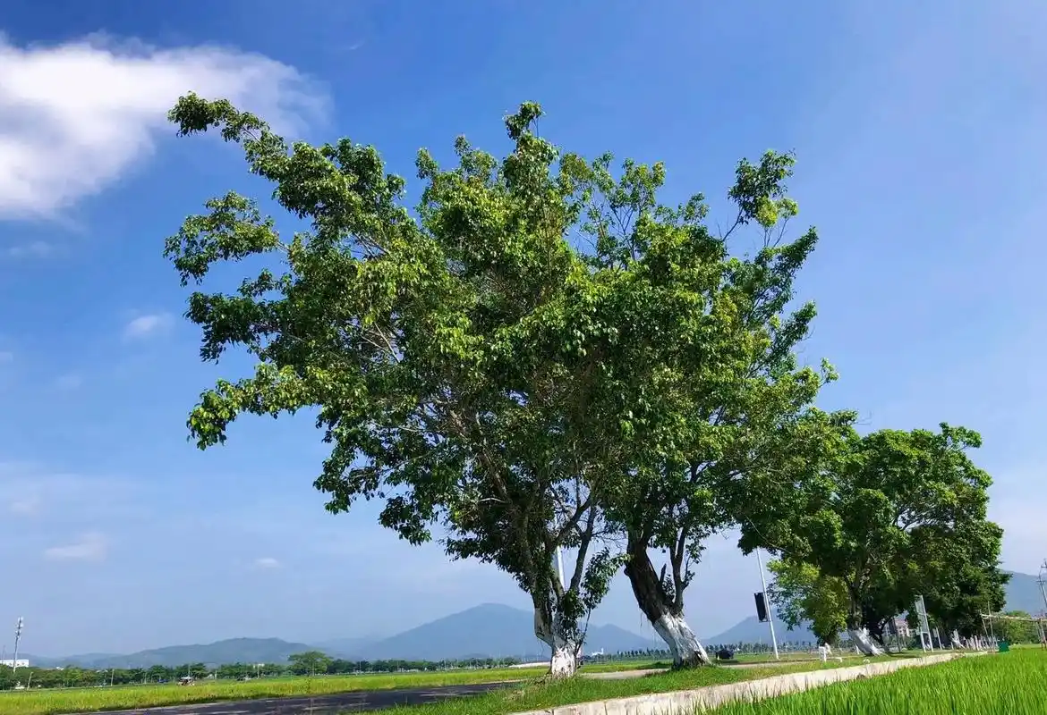 最近在网上很火的一段话:"终于熬成了,不想聊天,也不想去联系 - 抖音
