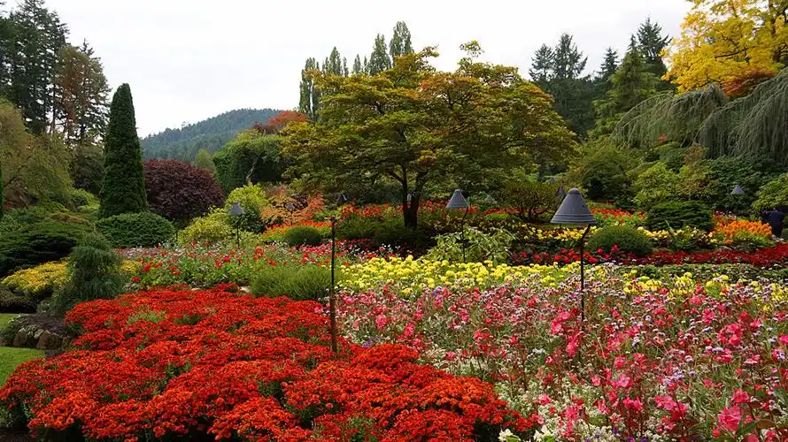 [原创]世界上最美的花园,布查太太与花仙子的故事 - 锦绣日月 - 跟着