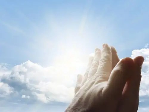 双手合十无恙安