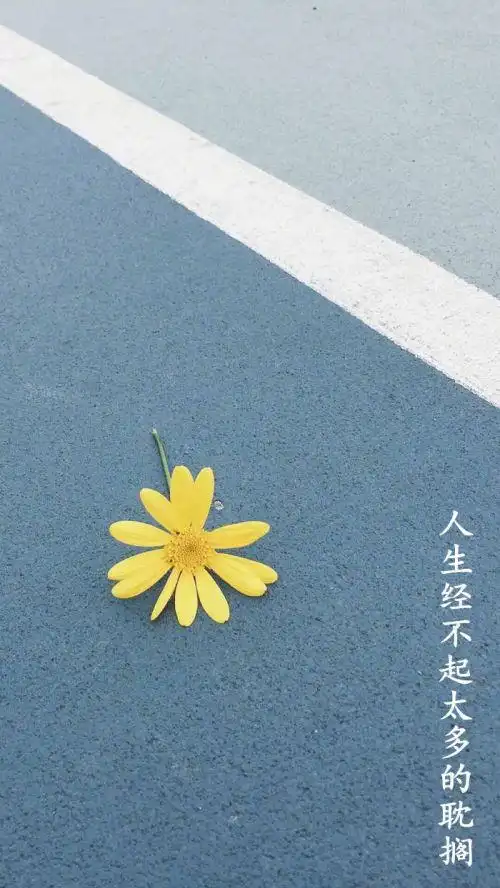 简约意境带字个性皮肤_风景静物qq皮肤_我要个性网