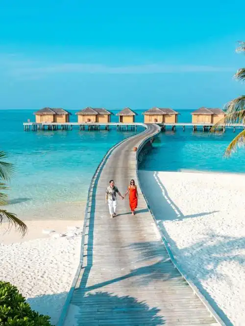 马尔代夫必住蜜月岛颜值只接待成人