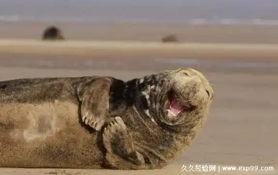 一秒笑喷的笑话短句(一秒笑喷的笑话短句图片)  第2张