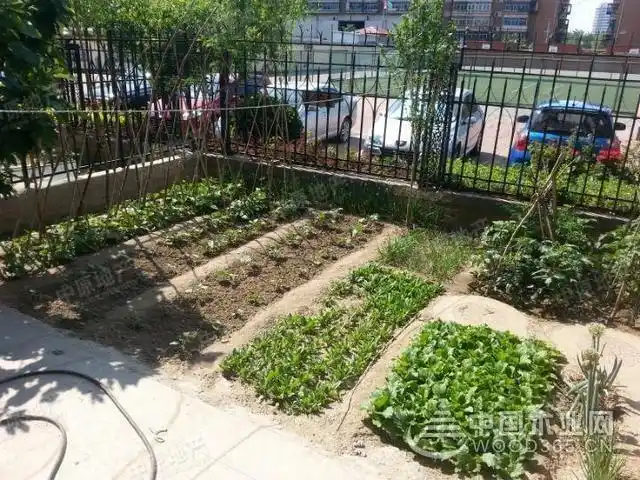 美得不像话,一楼带小院装修效果图