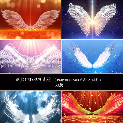 浪漫翅膀唯美背景翅膀背景翅膀舞台背景翅膀粒子led背景视频素材