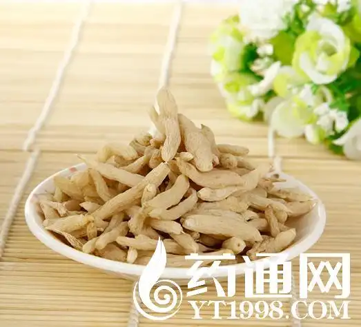 中药材麦冬真伪鉴别