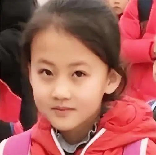 "有用摘要由作者通过智能技术生成宁夏小女孩铁嘉欣因笑容
