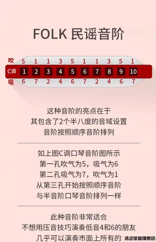 德国赛德seydel十孔布鲁斯口琴db蓝调paddy学生paddy版c调