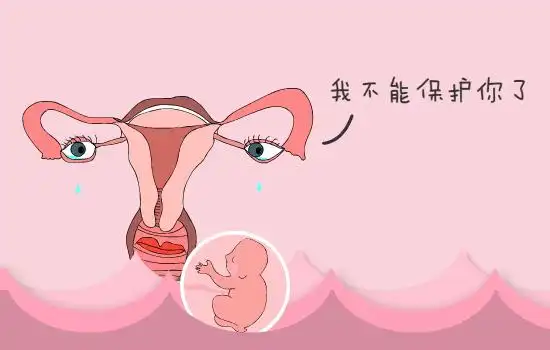 阴道炎对女性生育能力的影响