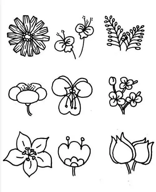 简笔画梅花怎么画梅花简笔画简单又漂亮彩色玫瑰花简笔画简单好画0255