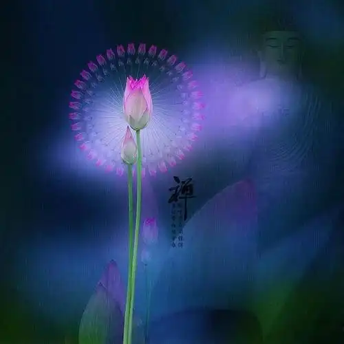 我是佛前的一朵青莲美文