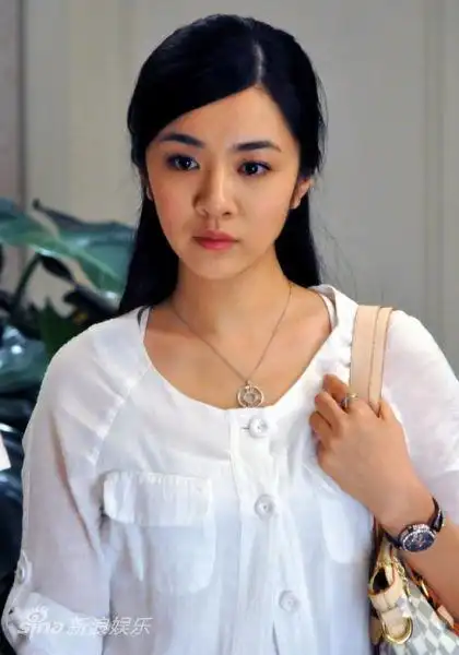 资料电视剧有爱就有家主角王晓晨饰何馨恬