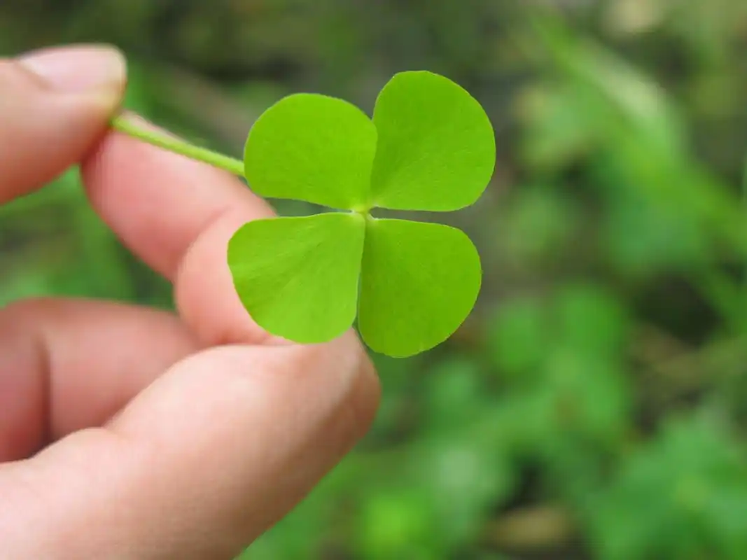 "归因"最简单的心理矫治方法