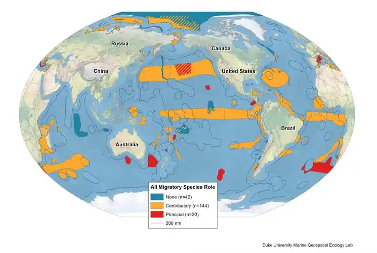 公海保护大谈判难在何处