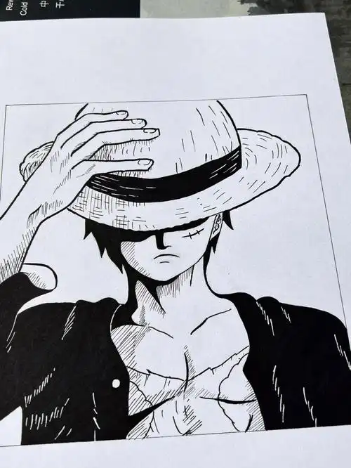 路宝#海贼王  #路飞  #草帽  #海贼王手绘  #手绘