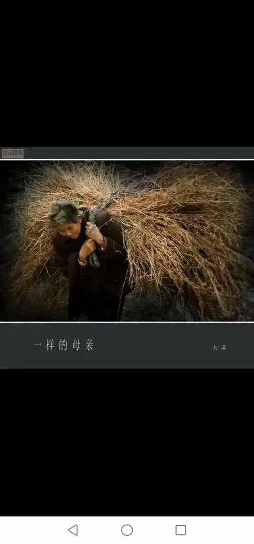 来着老母亲的一句话