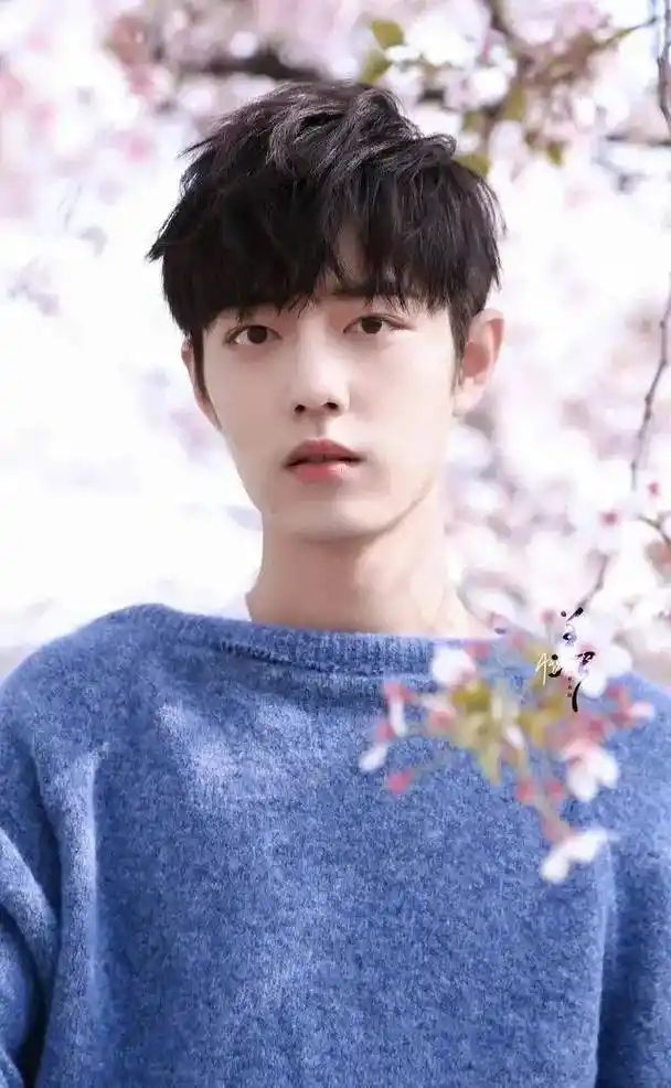 肖战壁纸特辑绝美无水印图片