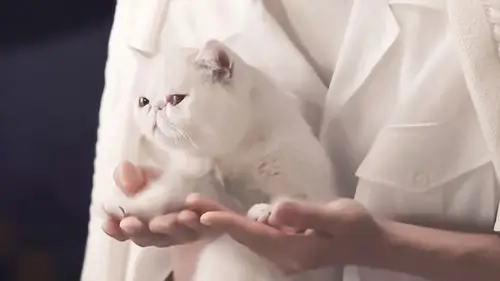 王一博 - 堆糖,美图壁纸兴趣社区