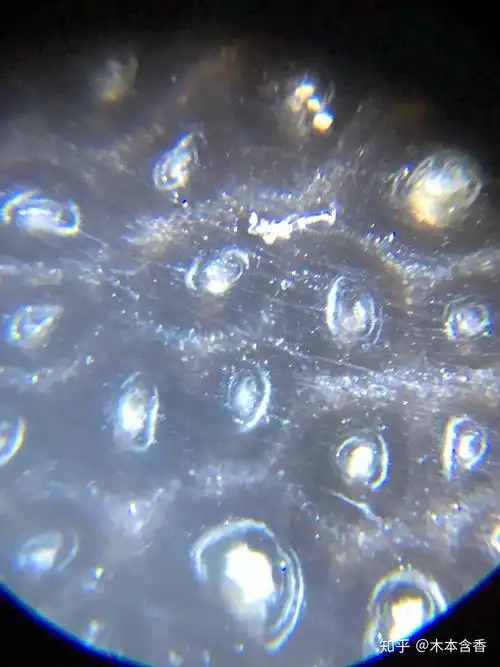 你们要的亚洲犀角高清鱼子纹