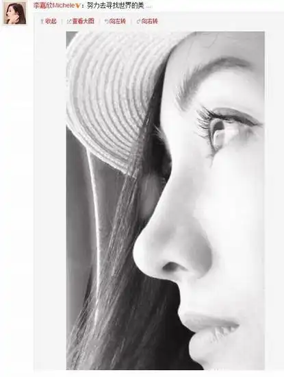 李嘉欣晒自拍 网友:这侧脸我能看一年