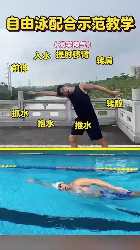 自由泳技巧演示与教学轻松掌握