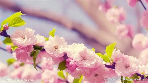 3d电脑 壁纸桌面 风景图片